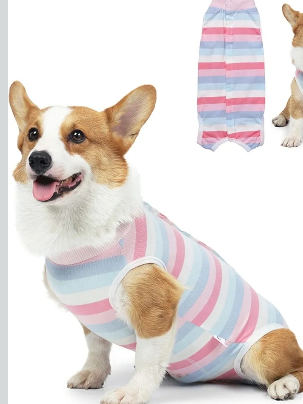 Small Dog Surgery Suit